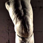 Torso Series 1